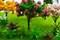 28 Pcs Miniature Fairy Garden Tree Plant Ornament, Mixed Model Trees 1-3 Inches, Miniature Dollhouse Pots Decor Moss Bonsai Micro Landscape